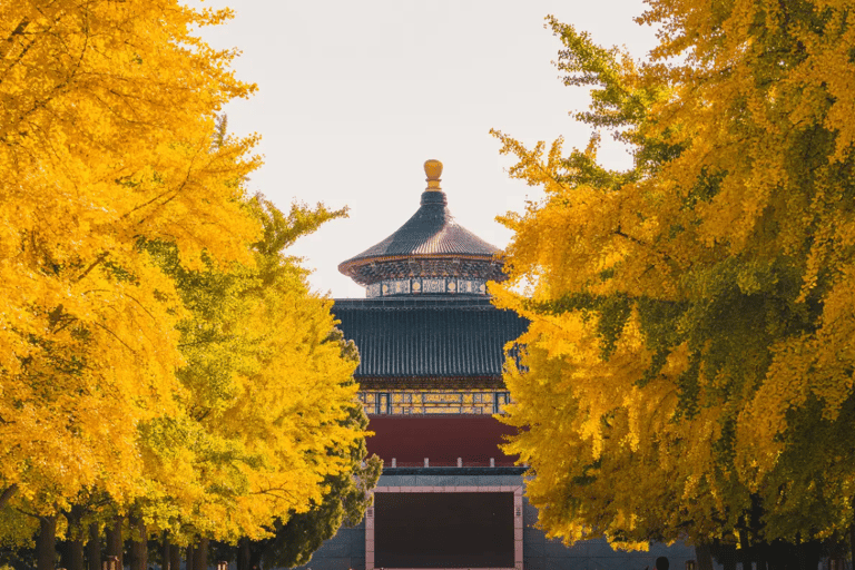 Yuxiandu Royal Cuisine with Show optional Attraction Ticket VIP Seating for Midday Banquet