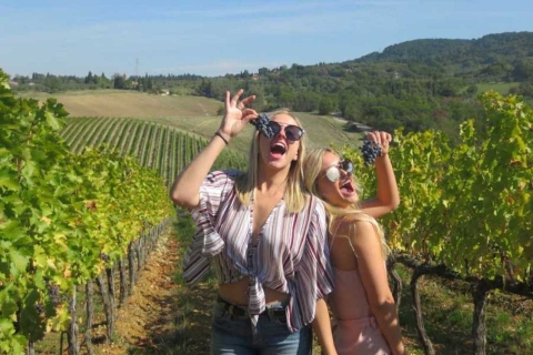 Florence: voyage de dégustation privé dans la région viticole du Chianti ClassicoVisite privée d'une demi-journée : expérience œnologique