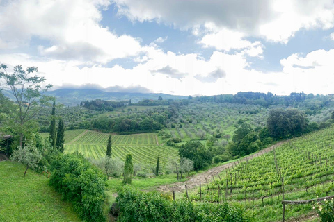 Från Florens: Siena och Chianti Classico resa från FlorensPrivat grupp