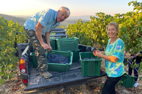 De Florença: Viagem PRIVADA a Siena e Chianti Classicogrupo privado