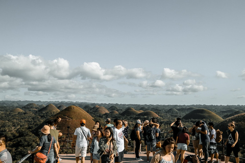 Från Cebu: Dagsutflykt till Bohol Highlights