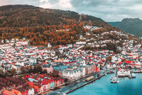 Bergen: Guided Private Shore Excursion