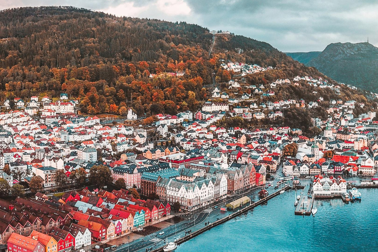 Bergen: Guided Private Shore Excursion
