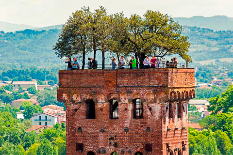 From Florence: PRIVATE Full-Day Pisa and Lucca Guided Tour Guided Tour of Pisa