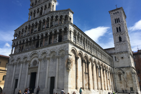 Desde Florencia: visita guiada PRIVADA de día completo a Pisa y LuccaTour guiado de Pisa