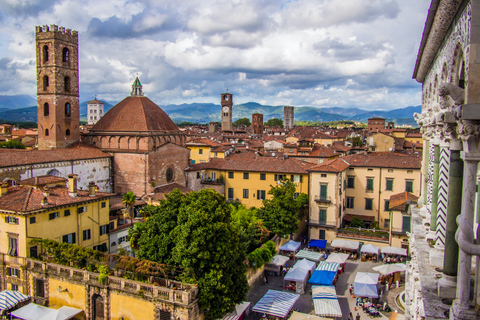 From Florence: PRIVATE Full-Day Pisa and Lucca Guided Tour Guided Tour of Pisa