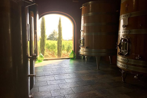 Florencia: Tour privado de vino Brunello de día completo a Montalcino¡Visita privada a Brunello!