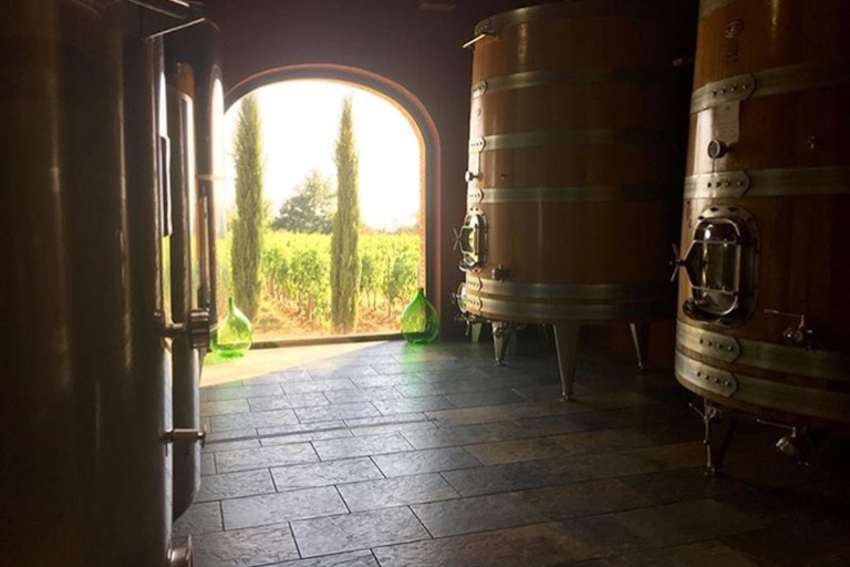 Florencia: Tour privado de vino Brunello de día completo a Montalcino¡Visita privada a Brunello!