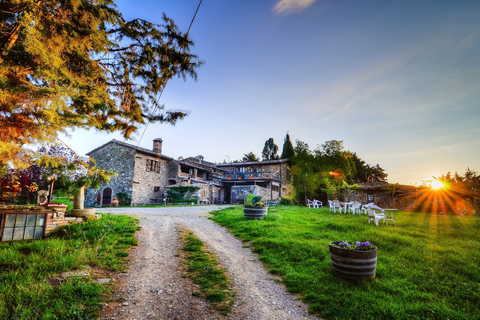 Florence: visite privée d'une journée complète des vins de Brunello à MontalcinoVisite privée de Brunello!