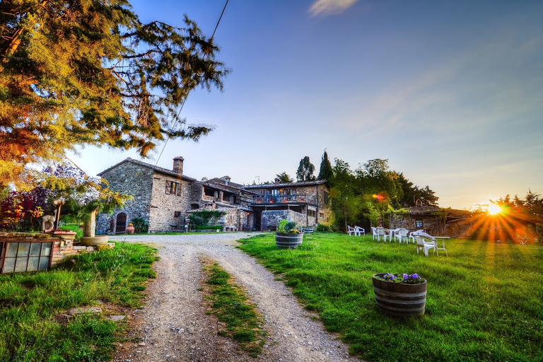 Florencia: Tour privado de vino Brunello de día completo a Montalcino¡Visita privada a Brunello!