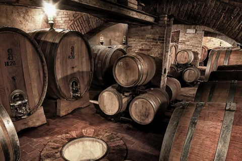 Florence: visite privée d'une journée complète des vins de Brunello à MontalcinoVisite privée de Brunello!