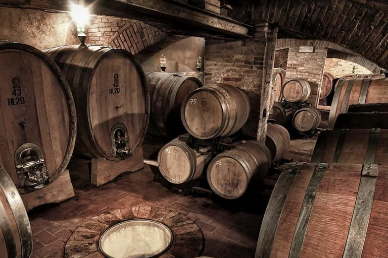 Florence: visite privée d'une journée complète des vins de Brunello à MontalcinoVisite privée de Brunello!