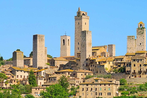 Vanuit Florence: PRIVÉ-rondleiding door San Gimignano en VolterraVanuit Florence: privérondleiding door San Gimignano en Volterra