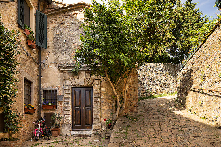Vanuit Florence: PRIVÉ-rondleiding door San Gimignano en VolterraVanuit Florence: privérondleiding door San Gimignano en Volterra