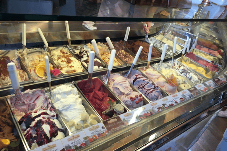 Vanuit Florence: PRIVÉ-rondleiding door San Gimignano en VolterraVanuit Florence: privérondleiding door San Gimignano en Volterra