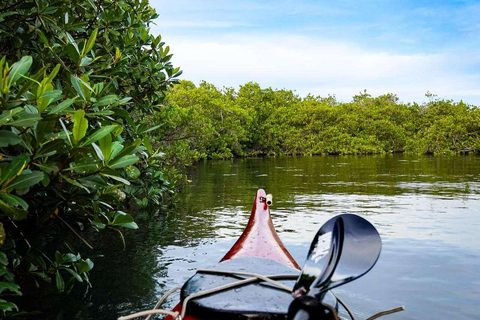 Explore Private Mangrove Kayak Adventure with Village Tour TRANSEER AND ENTRANCE FEE ALL ARE INCLUDED