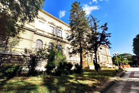 Varna: Archaeological Museum Ticket &amp; E-Guide