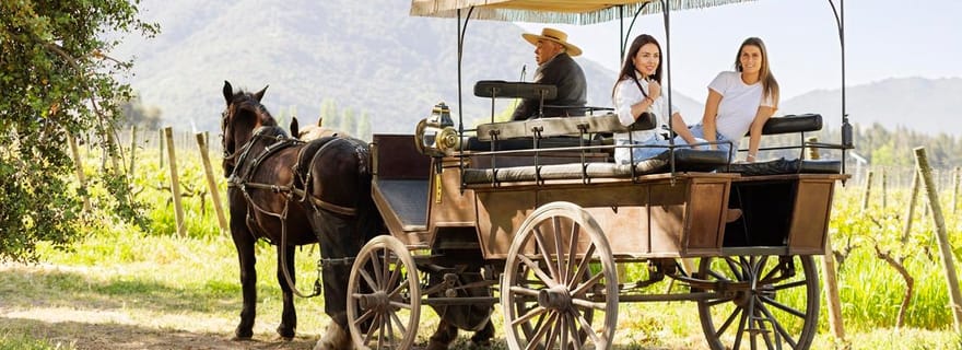 Visite privée de la vallée de Colchagua