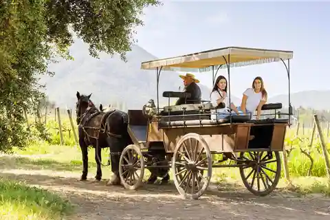Valle de Colchagua...El Primer Destino Vitivinícola de Chile