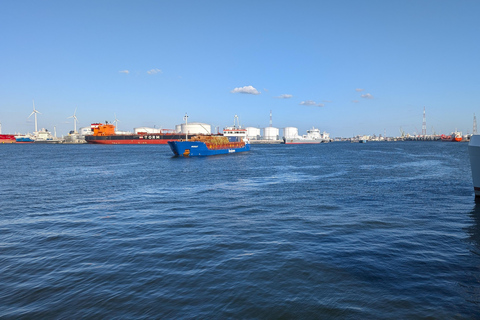 Antwerp: Private Guided City & Port Vespa tour