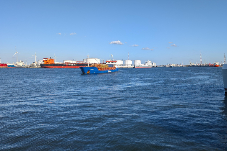 Antwerp: Private Guided City & Port Vespa tour