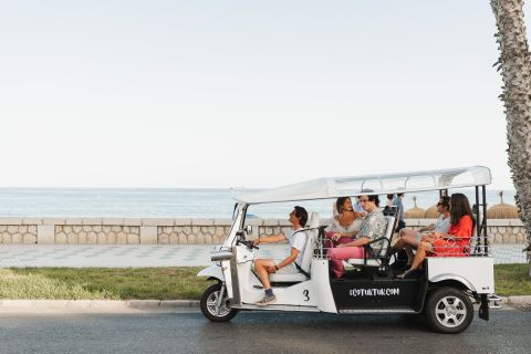 Málaga: stadstour per elektrische tuktuk