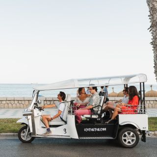 Málaga: stadstour per elektrische tuktuk