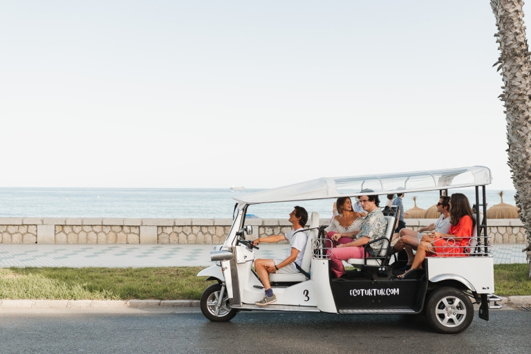 Malaga: stadstour per elektrische tuktukTour van 2 uur