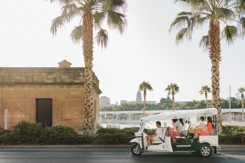 Malaga: stadstour per elektrische tuktukTour van 1 uur