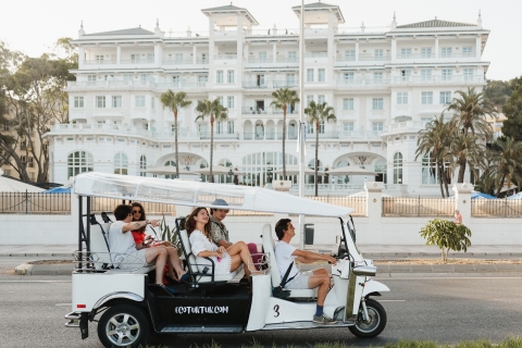 Malaga: stadstour per elektrische tuktukTour van 1 uur
