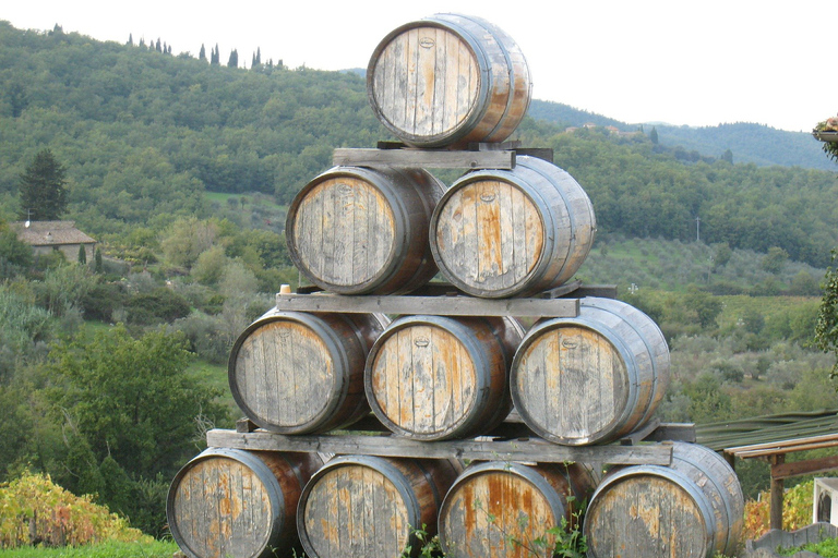 Florence: Chianti Classico Wine Region PRIVATE Tasting Trip PRIVATE Half-Day Tour: Wine Experience