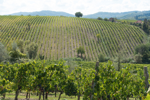 Florence: voyage de dégustation privé dans la région viticole du Chianti ClassicoVisite privée d'une demi-journée : expérience œnologique