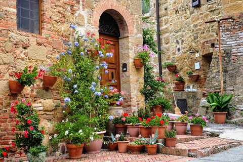 Desde Florencia: viaje PRIVADO a Siena y Chianti Classicogrupo privado