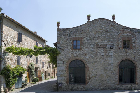 Da Firenze: Viaggio PRIVATO Siena e Chianti ClassicoGruppo privato