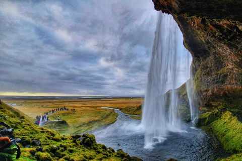 South Coast - Luxury Private Day Tour from Reykjavik
