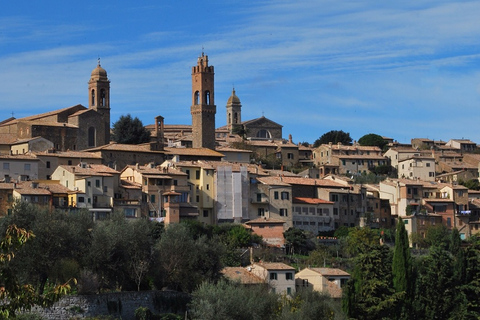 Florencia: Tour privado de vino Brunello de día completo a Montalcino¡Visita privada a Brunello!