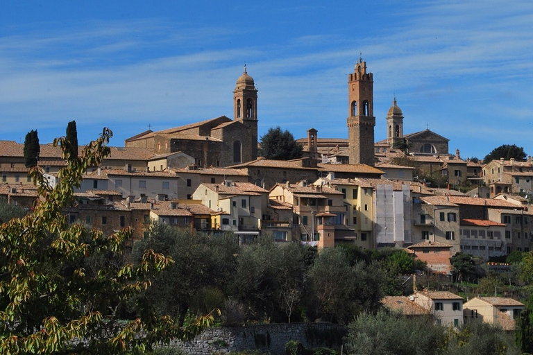 Florencia: Tour privado de vino Brunello de día completo a Montalcino¡Visita privada a Brunello!