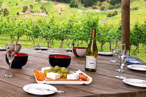 Napier: Afternoon Wine Tour with Optional Craft Beer Tasting