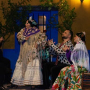 Marbella: Flamenco Show with a Drink