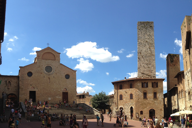 Vanuit Florence: PRIVÉ-rondleiding door San Gimignano en VolterraVanuit Florence: privérondleiding door San Gimignano en Volterra