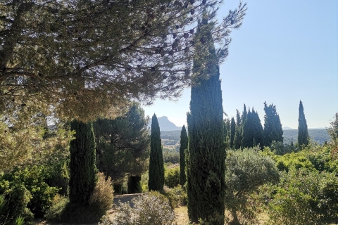 The vineyards of the Coteaux d'Aix-en-Provence