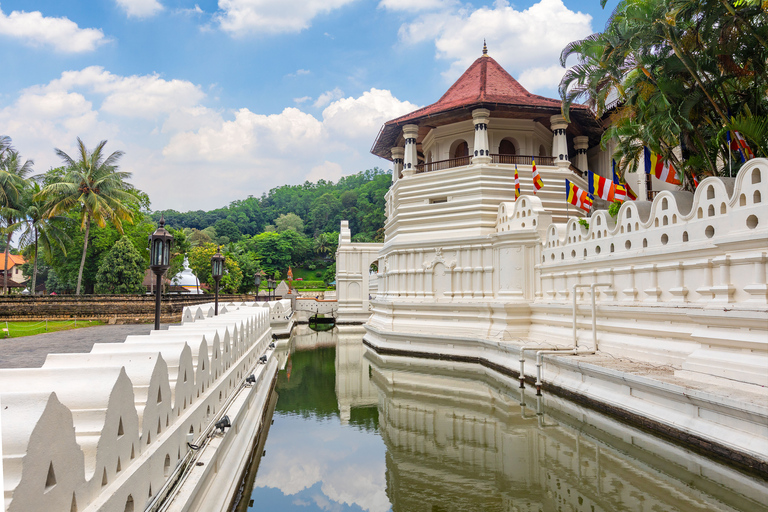 Da Colombo: Tour All-Inclusive di 2 giorni di Kandy e Nuwara EliyaTour di 2 giorni all-inclusive di Kandy e Nuwara Eliya da Colombo