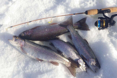 Avventura di pesca sul ghiaccio a Levi con la zuppa di salmone