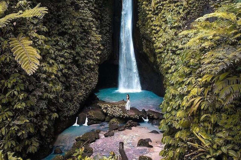 Bali: Monkey Forest, & Temple, With Waterfall, Swing Tour Private Tour Entry Ticket