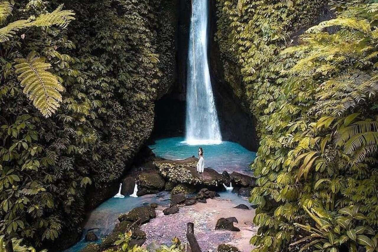 Bali: Monkey Forest, & Temple, With Waterfall, Swing Tour Private Tour Entry Ticket