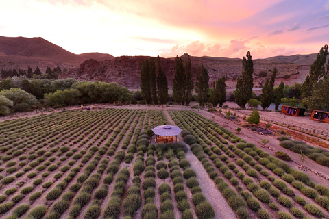 Villa Llanquín: Magic of the Steppe and Lavender Experience Villa Llanquín: Magic of the Steppe and Lavender Experience for up to 6 passengers