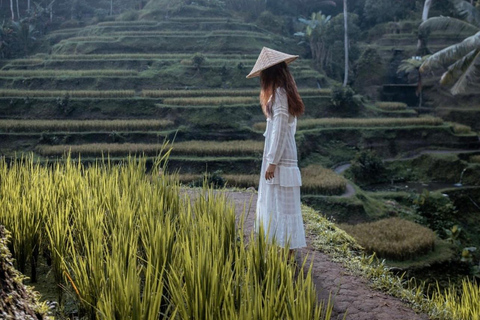 Ubud: Waterfalls, Rice Terrace & Bali Swing, Private Tour Tour With All Entrance Tickets - private tours