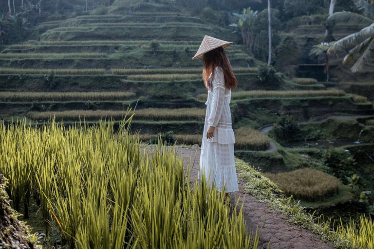 Ubud: Waterfalls, Rice Terrace & Bali Swing, Private Tour Tour With All Entrance Tickets - private tours