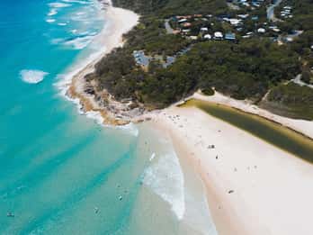 Brisbane: Stradbroke Island Tour - Beaches, Wildlife & Vibes
