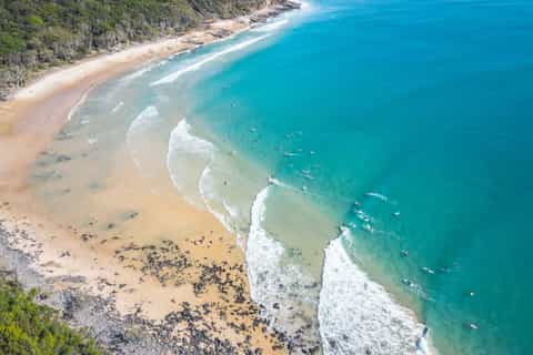 Sunshine Coast Hinterland and Noosa Small Group Tour